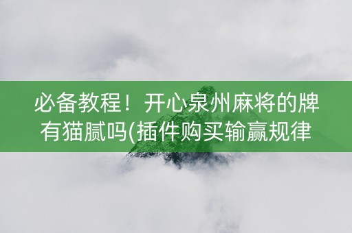 必备教程！开心泉州麻将的牌有猫腻吗(插件购买输赢规律)
