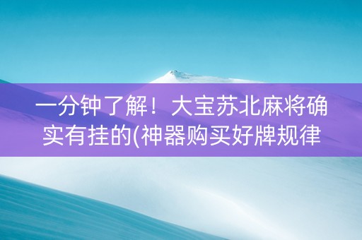 一分钟了解！大宝苏北麻将确实有挂的(神器购买好牌规律)