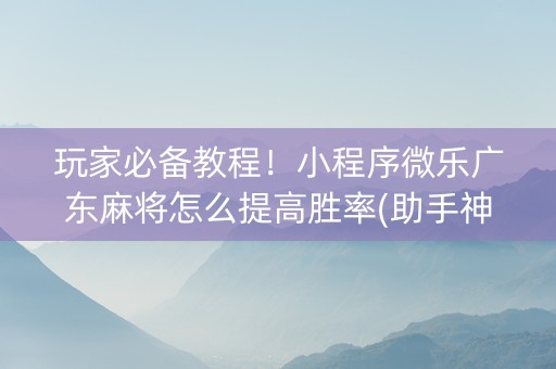 玩家必备教程！小程序微乐广东麻将怎么提高胜率(助手神器外辅工具)