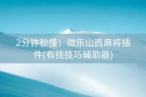 2分钟秒懂！微乐山西麻将插件(有挂技巧辅助器)