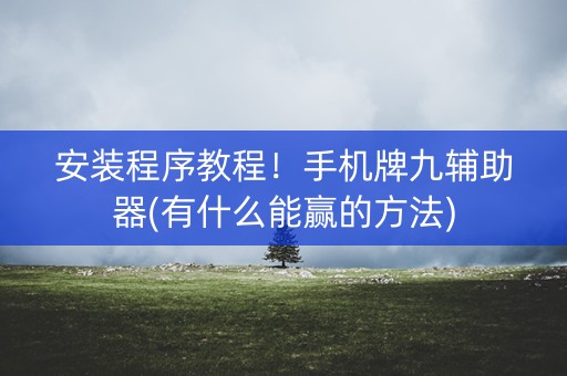 安装程序教程！手机牌九辅助器(有什么能赢的方法)