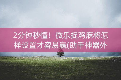 2分钟秒懂！微乐捉鸡麻将怎样设置才容易赢(助手神器外辅工具)