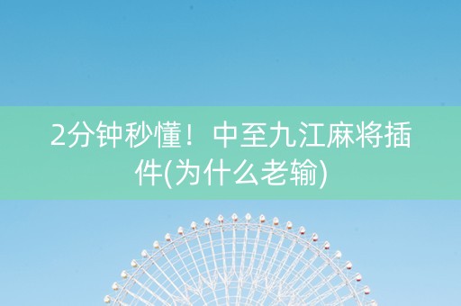 2分钟秒懂！中至九江麻将插件(为什么老输)