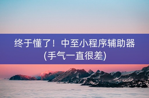 终于懂了！中至小程序辅助器(手气一直很差)