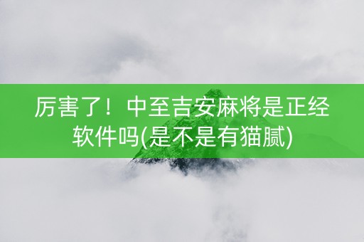 厉害了！中至吉安麻将是正经软件吗(是不是有猫腻)