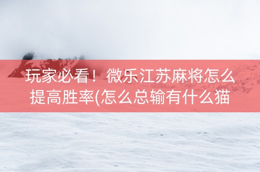 玩家必看！微乐江苏麻将怎么提高胜率(怎么总输有什么猫腻)