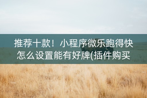推荐十款！小程序微乐跑得快怎么设置能有好牌(插件购买输赢规律)