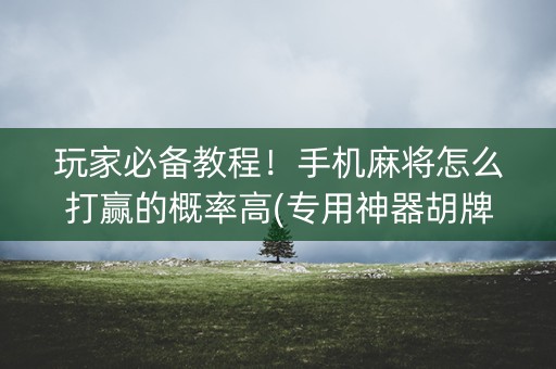 玩家必备教程！手机麻将怎么打赢的概率高(专用神器胡牌技巧)