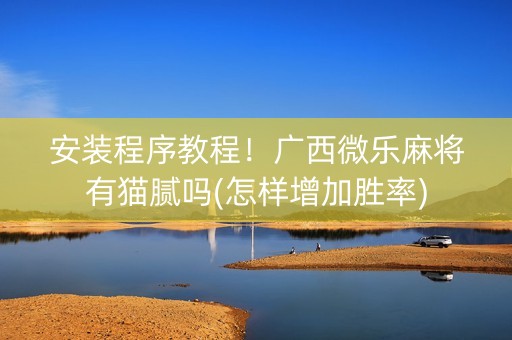 安装程序教程！广西微乐麻将有猫腻吗(怎样增加胜率)