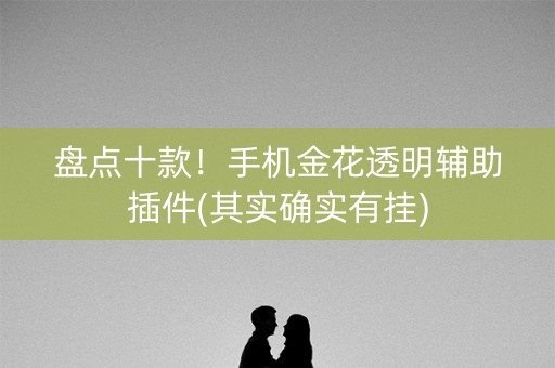 盘点十款！手机金花透明辅助插件(其实确实有挂)