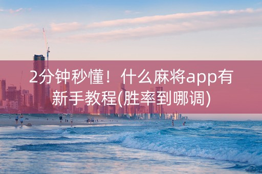 2分钟秒懂！什么麻将app有新手教程(胜率到哪调)