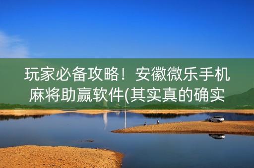 玩家必备攻略！安徽微乐手机麻将助赢软件(其实真的确实有挂)