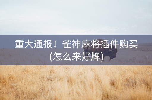 重大通报！雀神麻将插件购买(怎么来好牌)