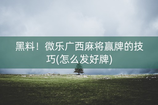 黑料！微乐广西麻将赢牌的技巧(怎么发好牌)