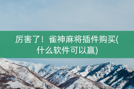 厉害了！雀神麻将插件购买(什么软件可以赢)
