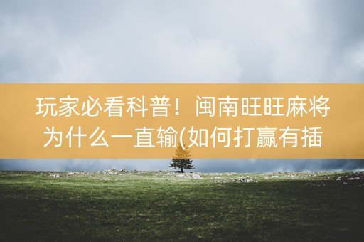 玩家必看科普！闽南旺旺麻将为什么一直输(如何打赢有插件吗)