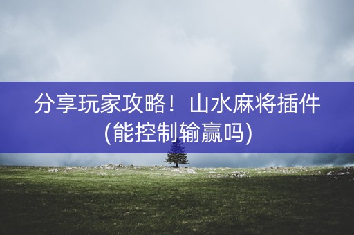 分享玩家攻略！山水麻将插件(能控制输赢吗)