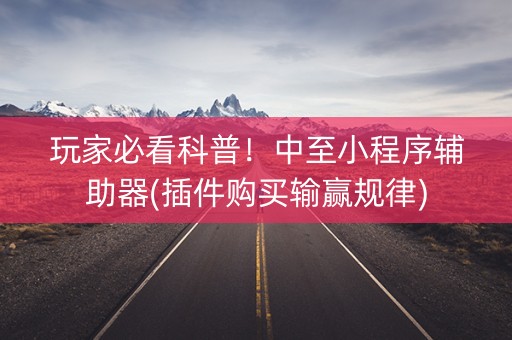 玩家必看科普！中至小程序辅助器(插件购买输赢规律)