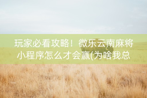 玩家必看攻略！微乐云南麻将小程序怎么才会赢(为啥我总是输)