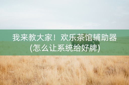 我来教大家！欢乐茶馆辅助器(怎么让系统给好牌)