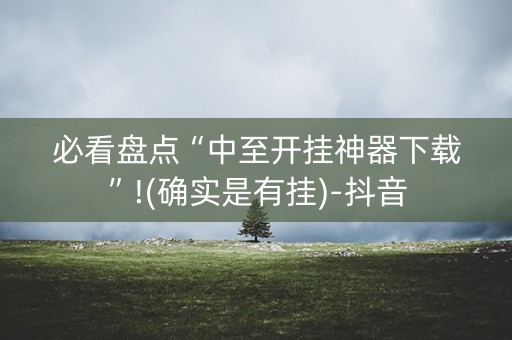 必看盘点“中至开挂神器下载”!(确实是有挂)-抖音