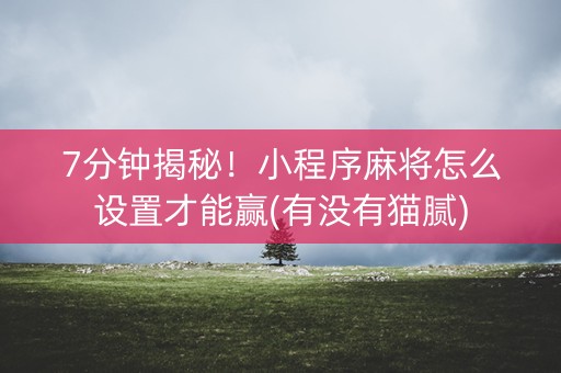 7分钟揭秘！小程序麻将怎么设置才能赢(有没有猫腻)