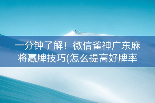 一分钟了解！微信雀神广东麻将赢牌技巧(怎么提高好牌率)