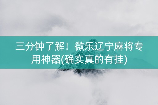 三分钟了解！微乐辽宁麻将专用神器(确实真的有挂)