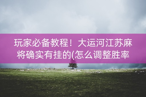 玩家必备教程！大运河江苏麻将确实有挂的(怎么调整胜率)