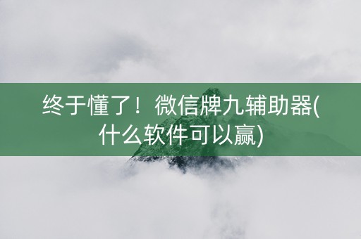 终于懂了！微信牌九辅助器(什么软件可以赢)