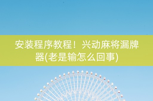 安装程序教程！兴动麻将漏牌器(老是输怎么回事)