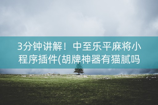 3分钟讲解！中至乐平麻将小程序插件(胡牌神器有猫腻吗)