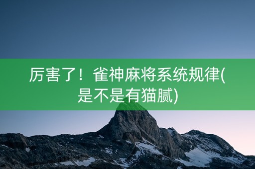 厉害了！雀神麻将系统规律(是不是有猫腻)