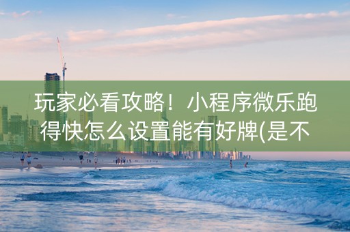 玩家必看攻略！小程序微乐跑得快怎么设置能有好牌(是不是有猫腻)