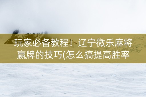 玩家必备教程！辽宁微乐麻将赢牌的技巧(怎么搞提高胜率)