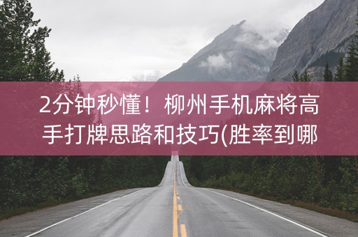 2分钟秒懂！柳州手机麻将高手打牌思路和技巧(胜率到哪调)