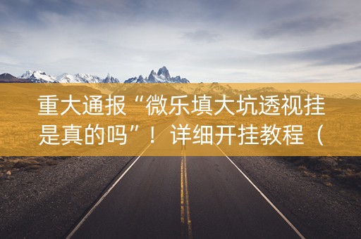 重大通报“微乐填大坑透视挂是真的吗”！详细开挂教程（确实真的有挂)-抖音