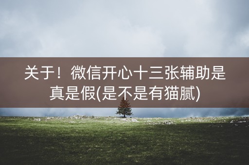 关于！微信开心十三张辅助是真是假(是不是有猫腻)