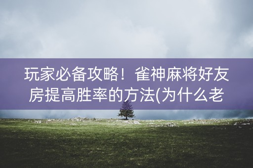 玩家必备攻略！雀神麻将好友房提高胜率的方法(为什么老输)