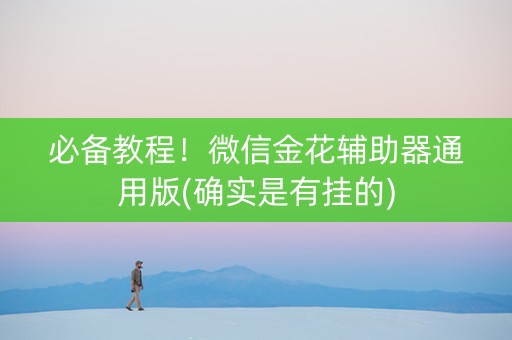 必备教程！微信金花辅助器通用版(确实是有挂的)