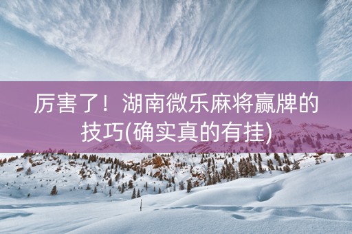 厉害了！湖南微乐麻将赢牌的技巧(确实真的有挂)