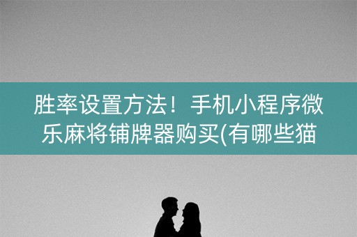胜率设置方法！手机小程序微乐麻将铺牌器购买(有哪些猫腻)