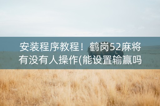 安装程序教程！鹤岗52麻将有没有人操作(能设置输赢吗)