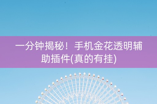 一分钟揭秘！手机金花透明辅助插件(真的有挂)