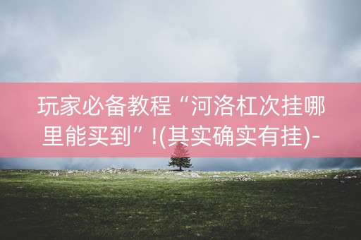 玩家必备教程“河洛杠次挂哪里能买到”!(其实确实有挂)-抖音