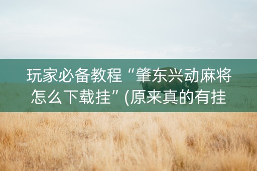 玩家必备教程“肇东兴动麻将怎么下载挂”(原来真的有挂)-抖音