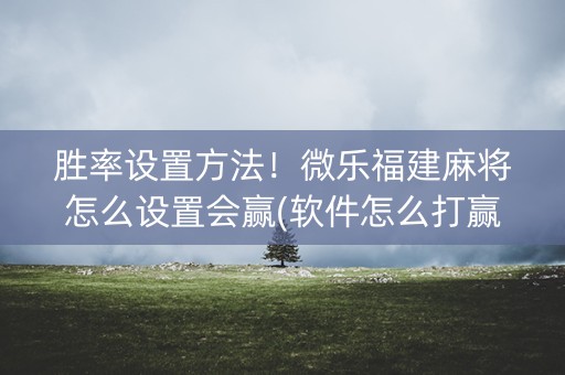 胜率设置方法！微乐福建麻将怎么设置会赢(软件怎么打赢)