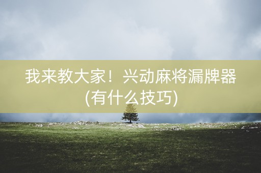 我来教大家！兴动麻将漏牌器(有什么技巧)