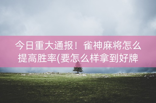 今日重大通报！雀神麻将怎么提高胜率(要怎么样拿到好牌)
