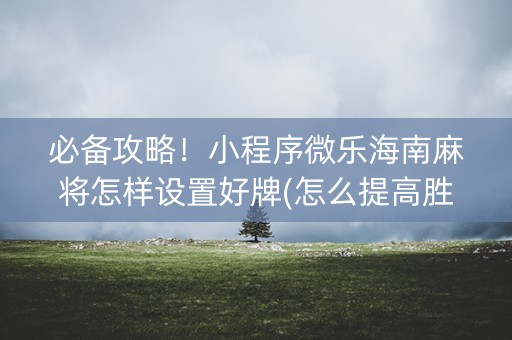 必备攻略！小程序微乐海南麻将怎样设置好牌(怎么提高胜率)